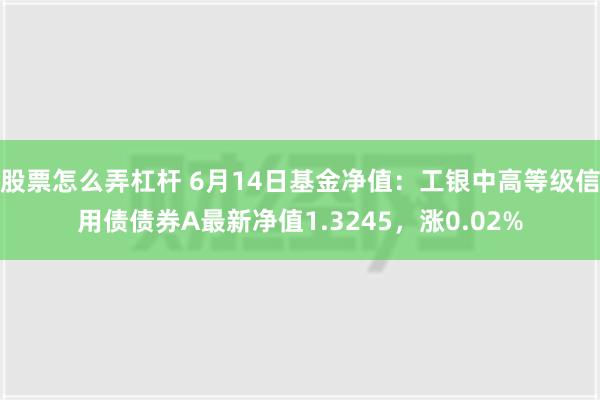 股票怎么弄杠杆 6月14日基金净值：工银中高等级信用债债券A最新净值1.3245，涨0.02%