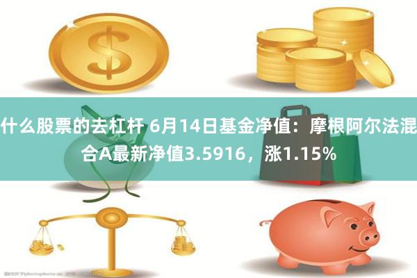 什么股票的去杠杆 6月14日基金净值：摩根阿尔法混合A最新净值3.5916，涨1.15%