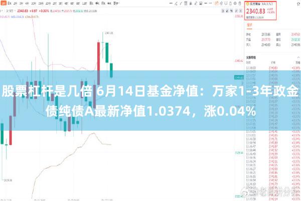 股票杠杆是几倍 6月14日基金净值：万家1-3年政金债纯债A最新净值1.0374，涨0.04%