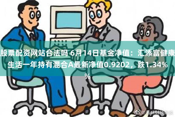 股票配资网站合法吗 6月14日基金净值：汇添富健康生活一年持有混合A最新净值0.9202，跌1.34%