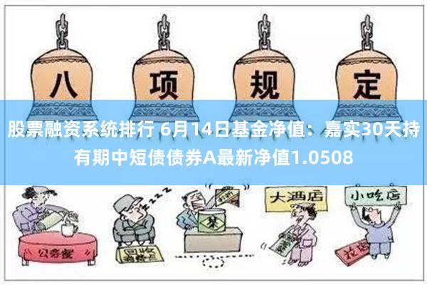 股票融资系统排行 6月14日基金净值：嘉实30天持有期中短债债券A最新净值1.0508