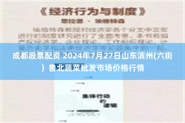 成都股票配资 2024年7月27日山东滨州(六街）鲁北蔬菜批发市场价格行情