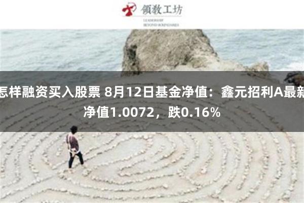 怎样融资买入股票 8月12日基金净值：鑫元招利A最新净值1.0072，跌0.16%