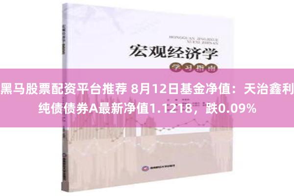 黑马股票配资平台推荐 8月12日基金净值：天治鑫利纯债债券A最新净值1.1218，跌0.09%