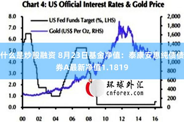 什么是炒股融资 8月23日基金净值：泰康安惠纯债债券A最新净值1.1819