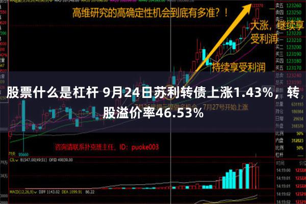 股票什么是杠杆 9月24日苏利转债上涨1.43%，转股溢价率46.53%