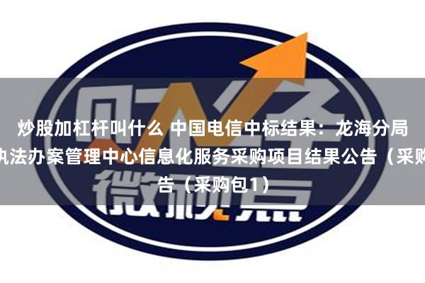 炒股加杠杆叫什么 中国电信中标结果：龙海分局智慧执法办案管理中心信息化服务采购项目结果公告（采购包1）