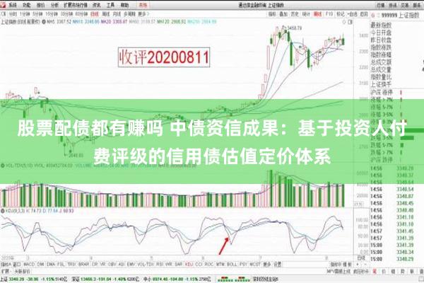 股票配债都有赚吗 中债资信成果：基于投资人付费评级的信用债估值定价体系