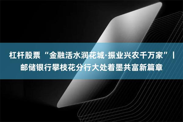 杠杆股票 “金融活水润花城·振业兴农千万家”丨邮储银行攀枝花分行大处着墨共富新篇章