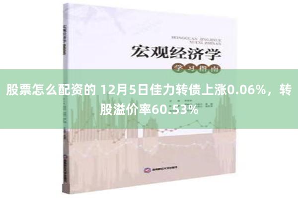 股票怎么配资的 12月5日佳力转债上涨0.06%，转股溢价率60.53%