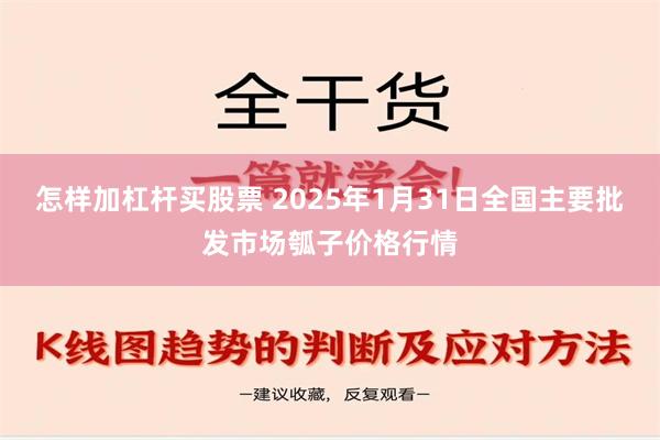 怎样加杠杆买股票 2025年1月31日全国主要批发市场瓠子价格行情