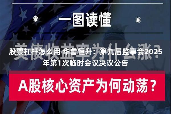 股票杠杆怎么用 华鲁恒升：第九届监事会2025年第1次临时会议决议公告